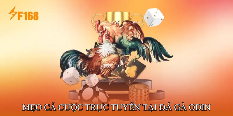 Mẹo cá cược trực tuyến tại Đá gà ODIN